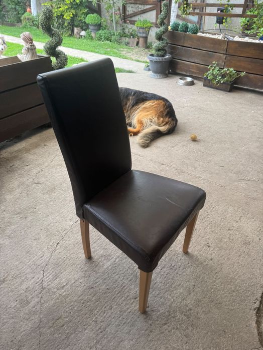 Scaune bucătărie/sufragerie