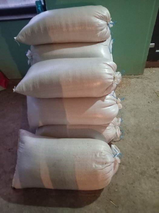 Grau de vinzare arad