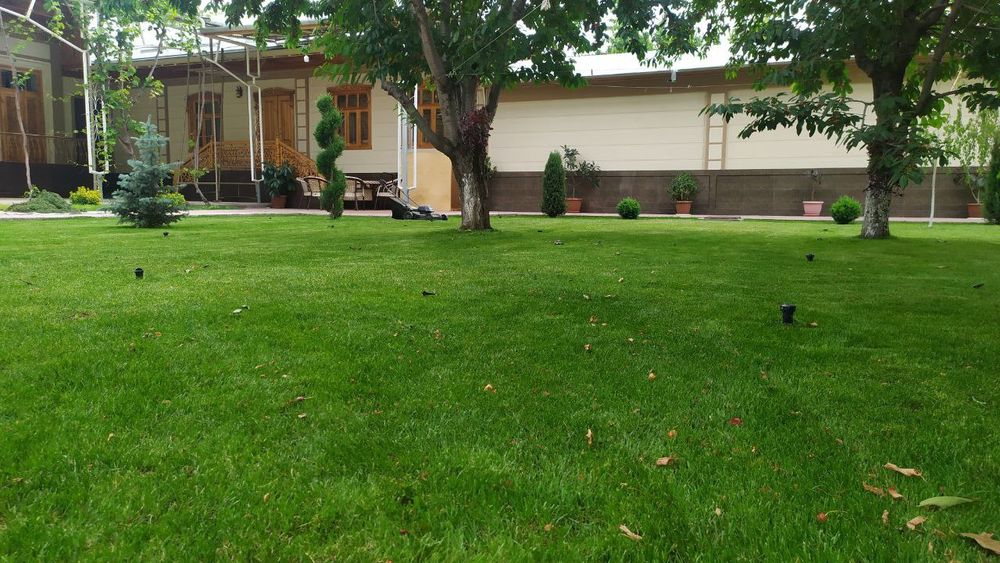 Газон екиш хизмати