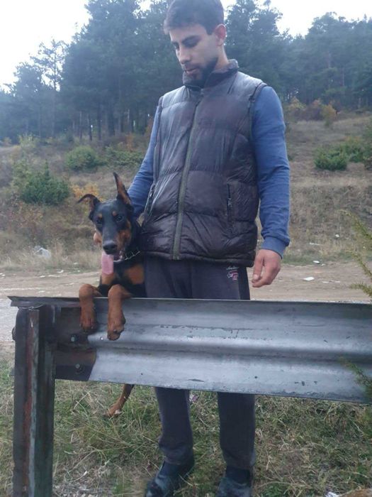 Доберман-мъжки..