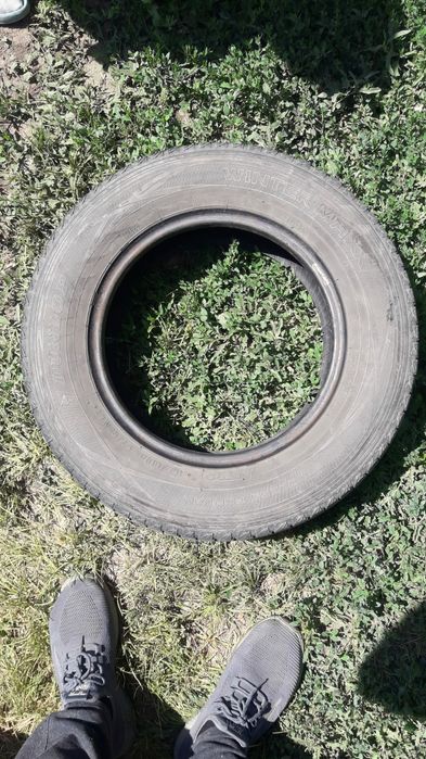 Продам шины фирма Dunlop