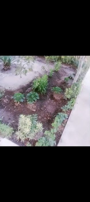 Срочно сотилади Сергели 4 3/1/5 ремонт тоза 2×6 балкон мактаб богча ме