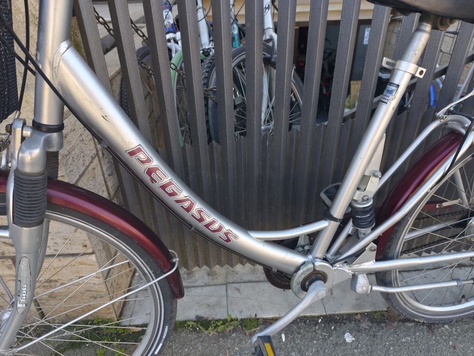 Damă 26 cu dublasuspensie și coș