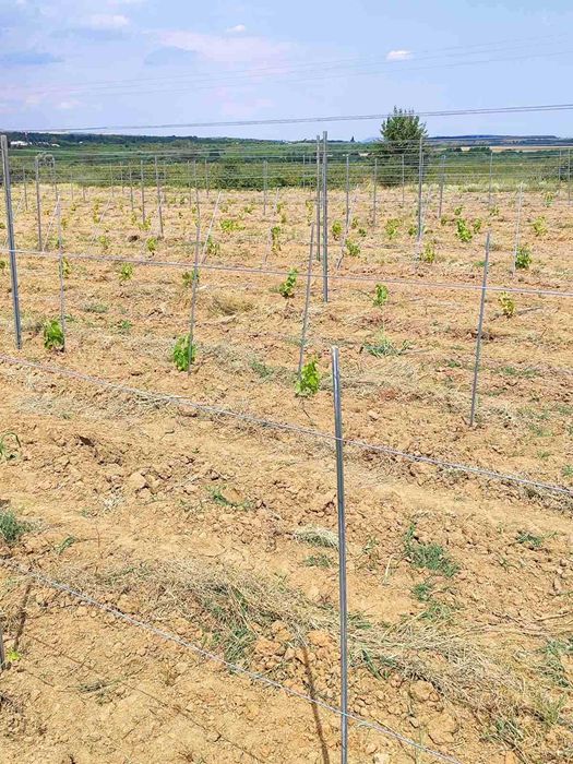 Продава се Земеделски имот в София, Челопечене -  кв.м за 2550 €/дка - Снимка #3