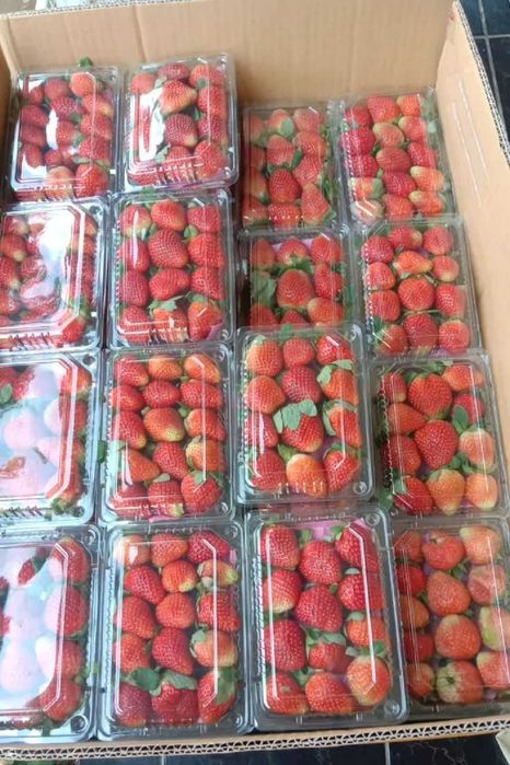 Клубника в шоколаде