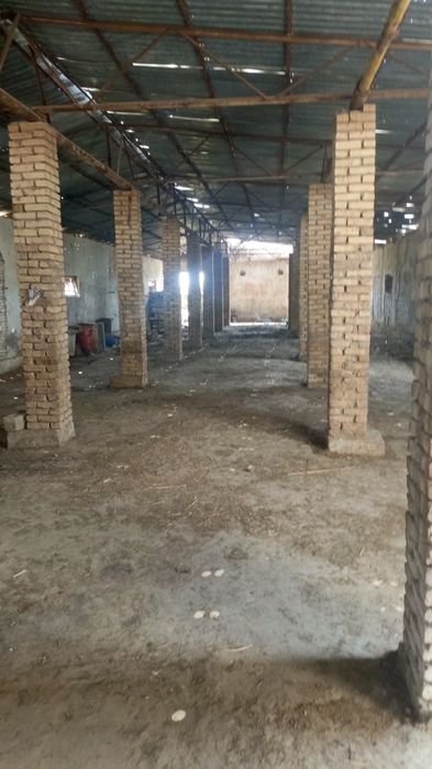 Назарбек тарафда 2 гектар ер селхознозночение доимие фоедаланиш