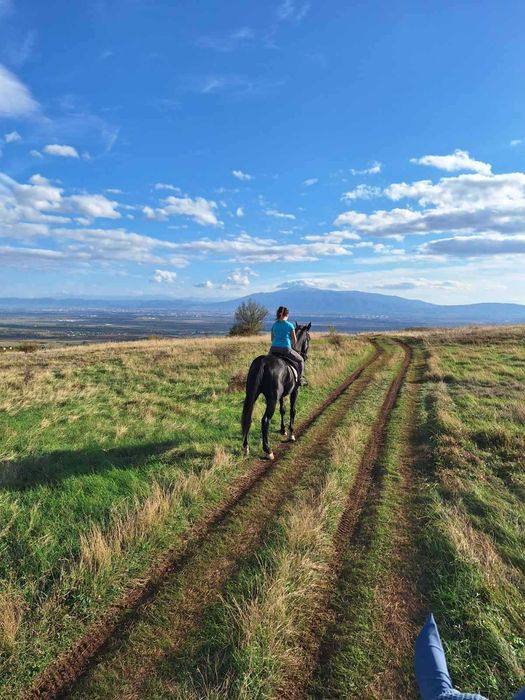 Предлагам почистване на входове.