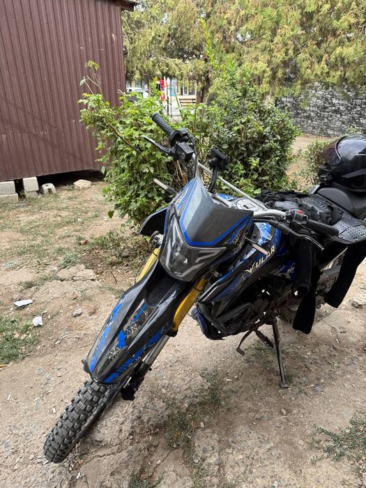 В продаже Ular b1