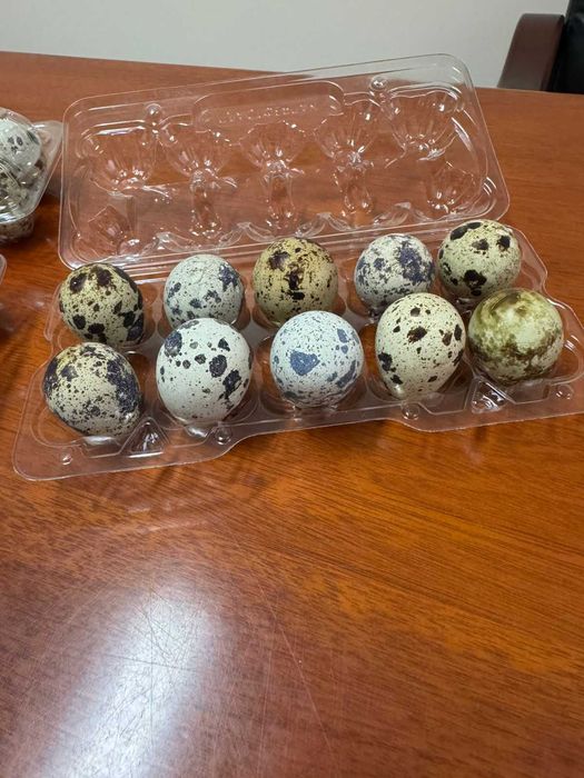 Перепелиные яйца.