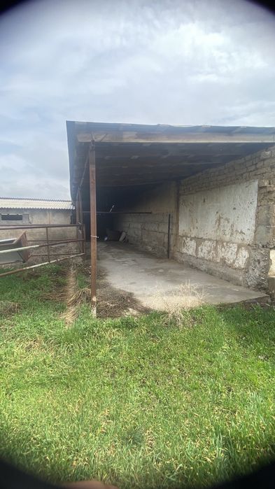 Сдаётся в аренду