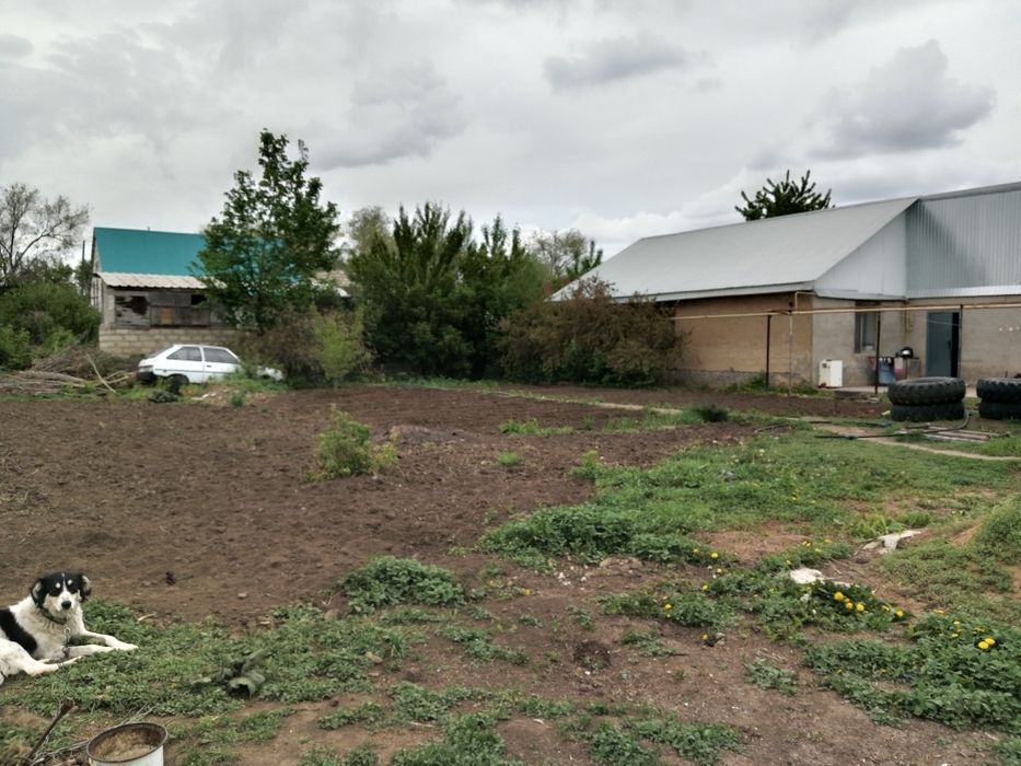 Продам дом с двумя участками