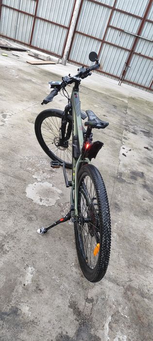 Велик Мурат горный.