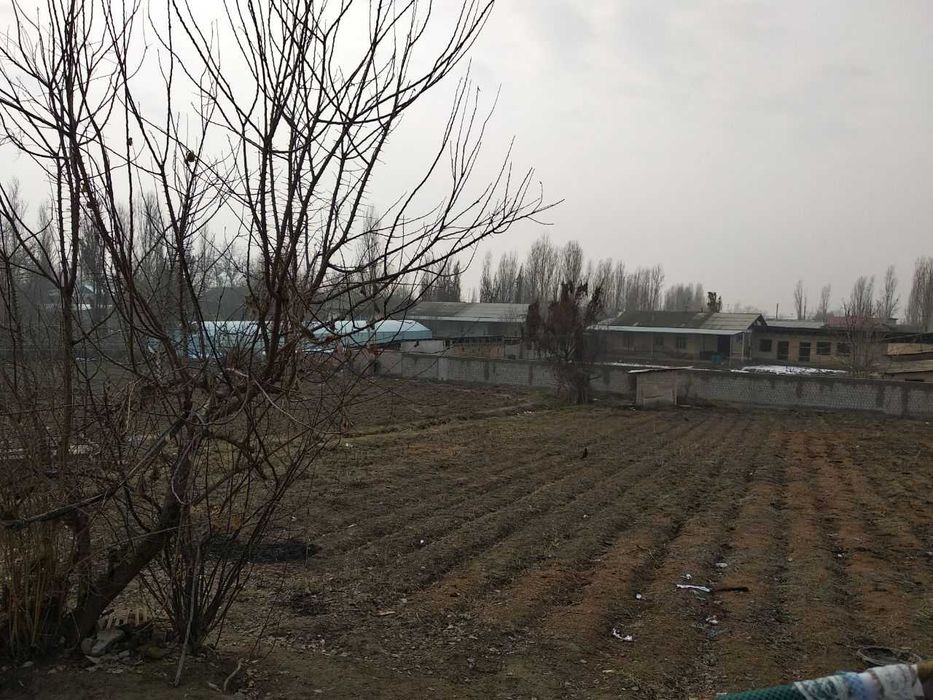 Янгийўл туманида арзон ҳовли сотилади. 18 000$. 6 cотих 1 сотих захват