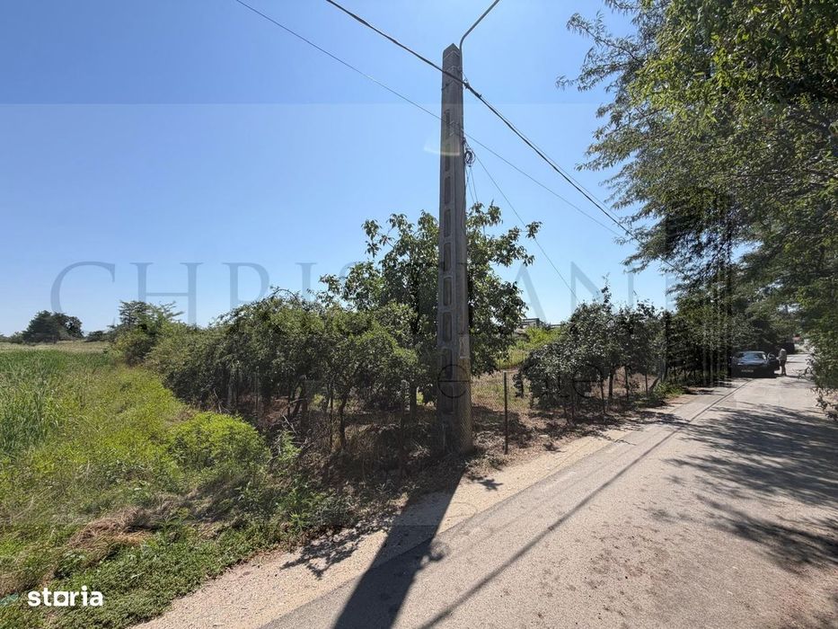| Teren Intravilan Domnesti 585 mp-Investitie |