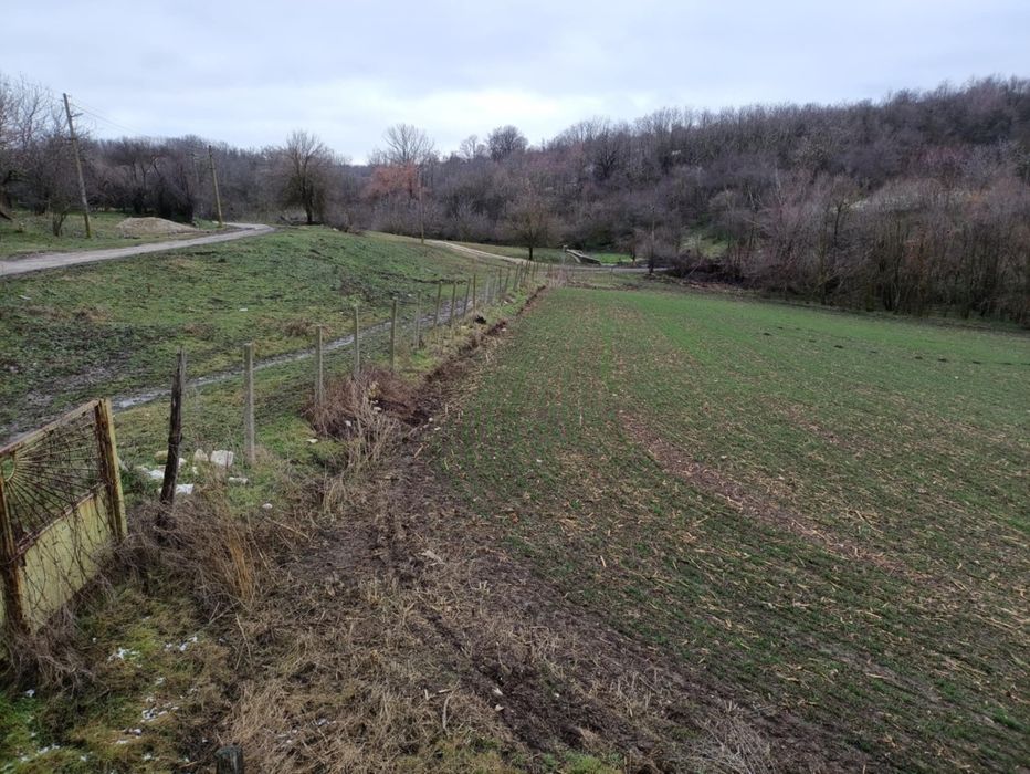 Продава се Къща в Силистра, Център - 3000 кв.м за 6 €/кв.м - Снимка #3