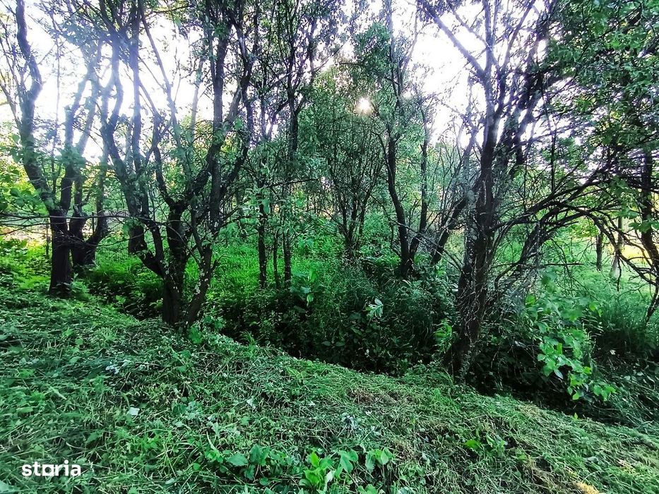 Teren intravilan 1340 mp, front 15,74 m, in sat Gheorgheni