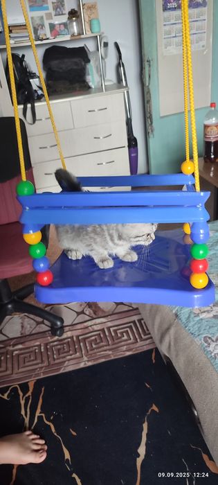 Продам детский спортивный набор