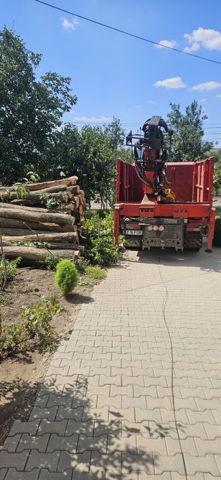 Man tgl 210. An 2006