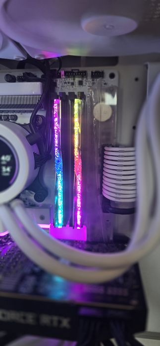 Ddr5 48 gb 2x24 8000 mhz