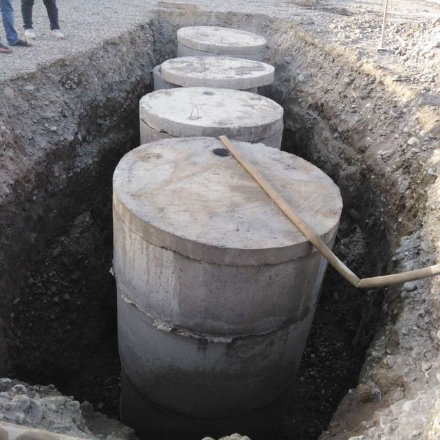 Kalodis dastafka qilamiz