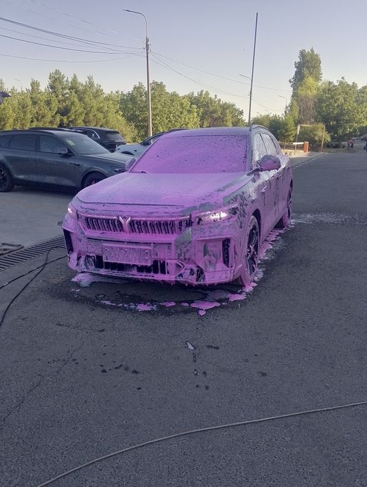 Выездная автомойка