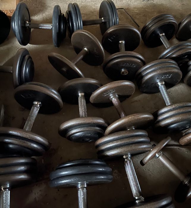 Gantere sala/gym/fitness