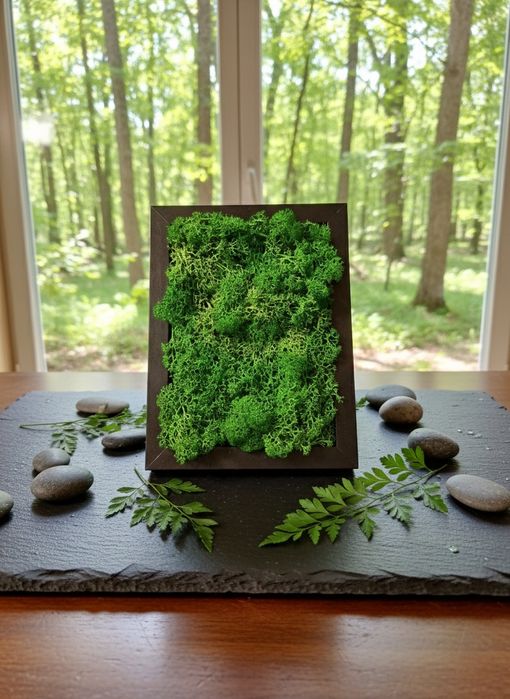 Tablou decorativ cu lichieni naturali.