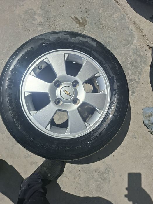 Diska balon jetra arginal diska