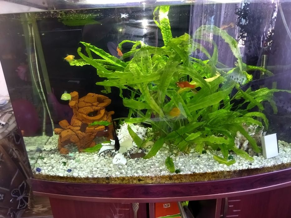 Аквариум с тумбой