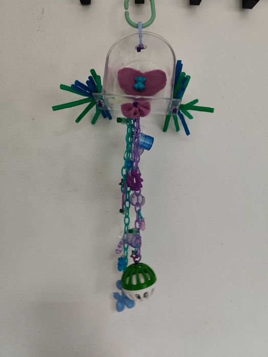 Захарна летяща катеричка