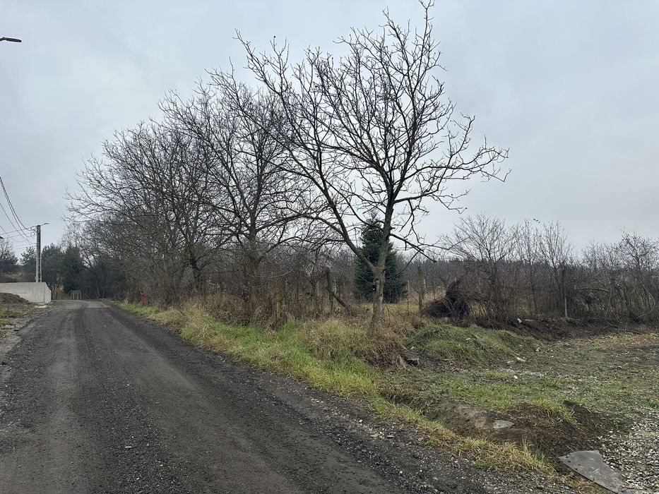 Teren intravilan str Dâmbului 3