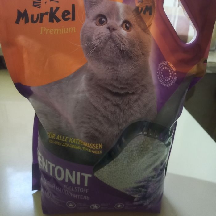 Продаю лоток для кошек