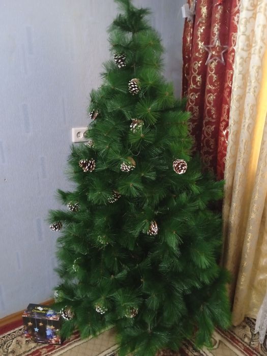 Арча баландлиги 1,7 метр