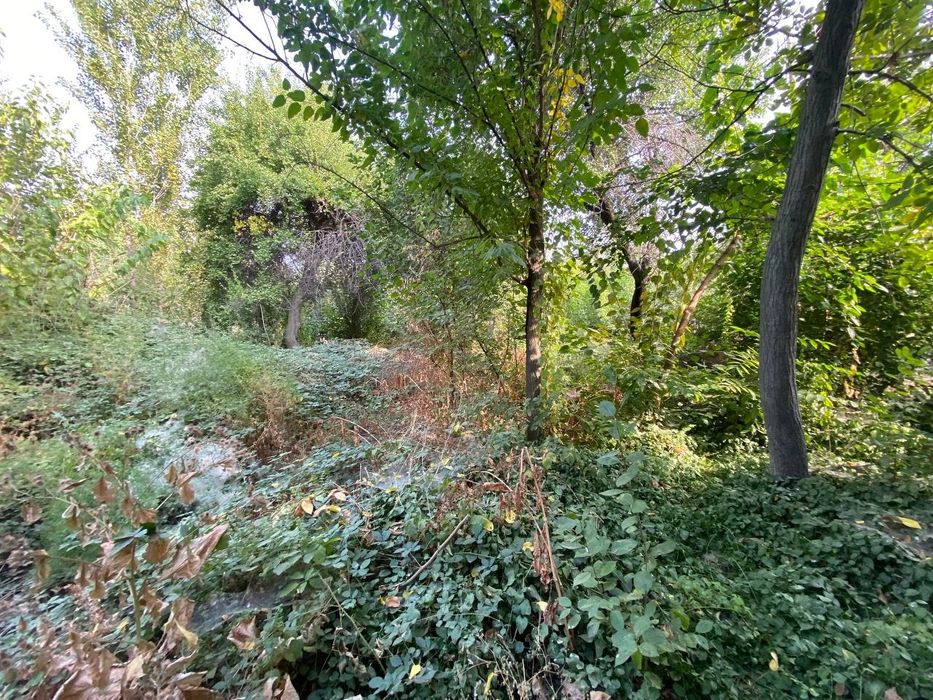 Продается земля на дачном поселке