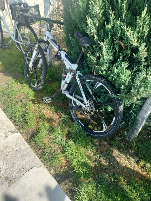 Bicicleta new speed