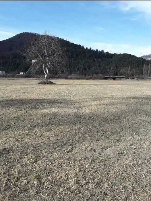 Teren intravilan - Pângărați, Neamț