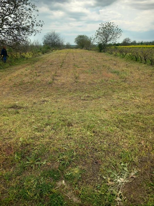 Teren intravilan de vânzare sat stancesti