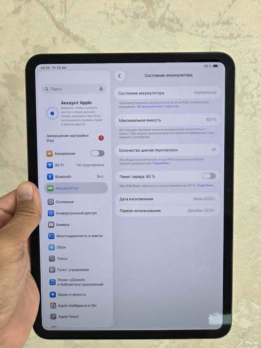 Ipad pro m4 256GB