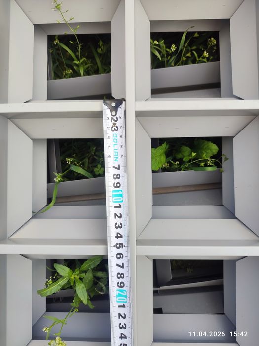 Потолок Грильято