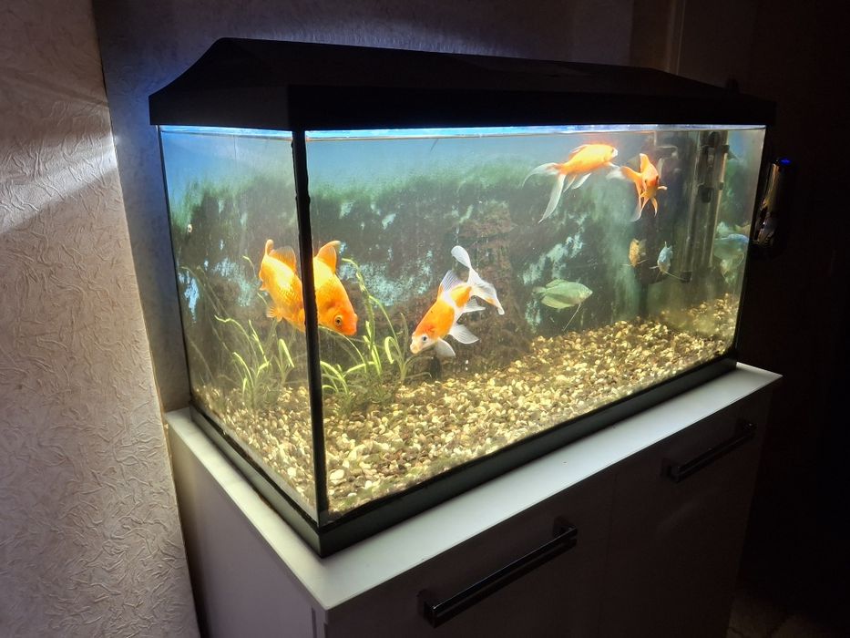 Аквариум 105 литров с рыбками