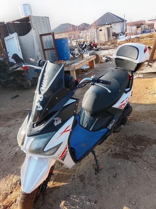 Самурай Лия мапед