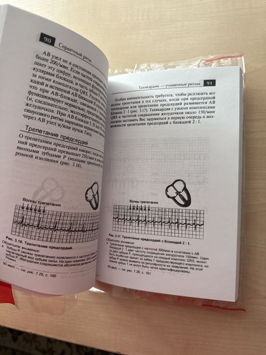 Книга основы экг