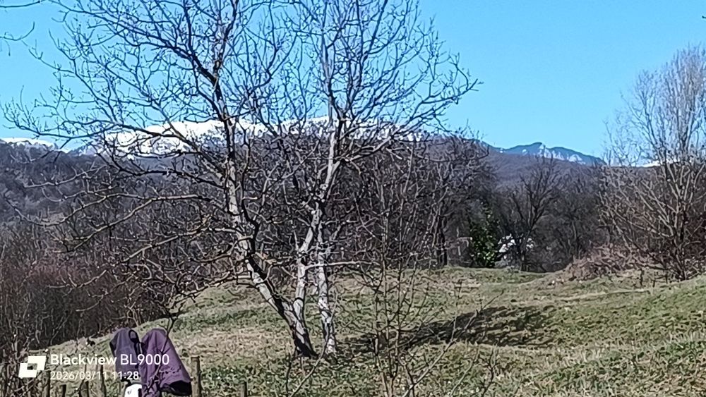 Teren 500 m.p. Paușești Maglasi