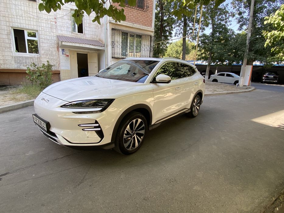 BYD chepiyon 2023