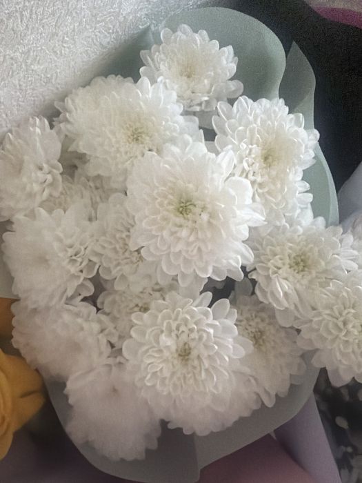 Продам цветы свежие