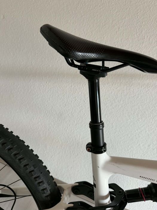Cube Wild Ronin  29 M Carbon