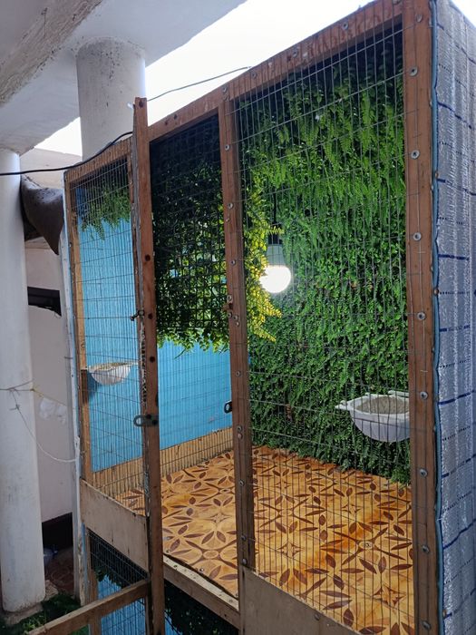 Qafas valer sotiladi