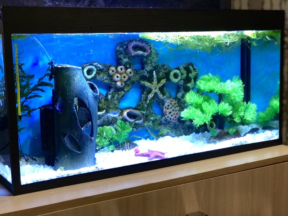 Продается Аквариум 70л