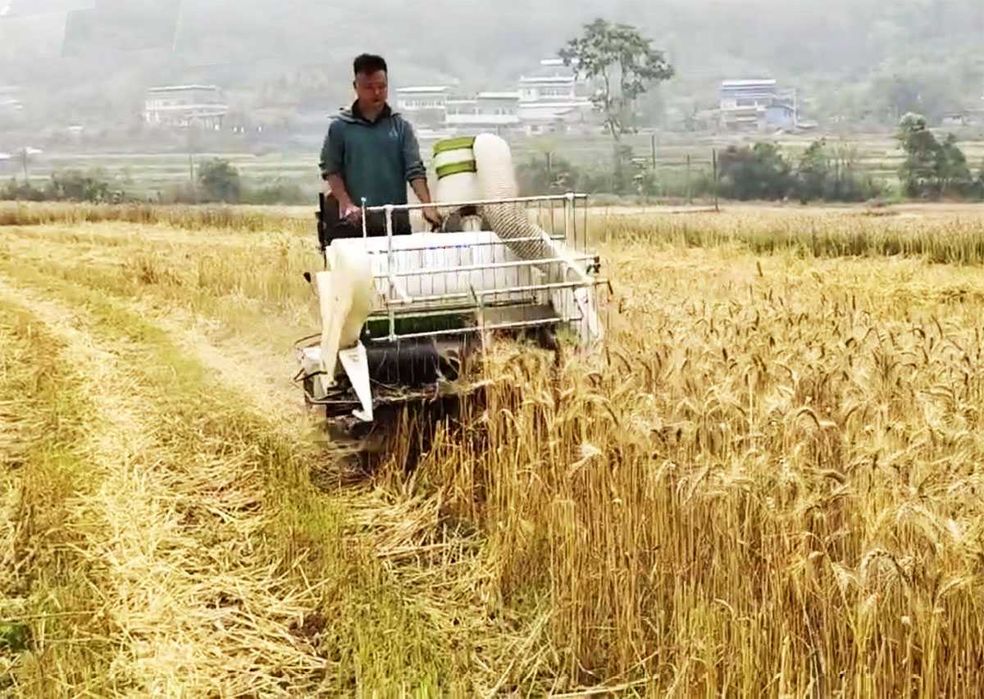 Нов комбиниран комбайн за жито и оризови култури REM-1.0C -EURO 5