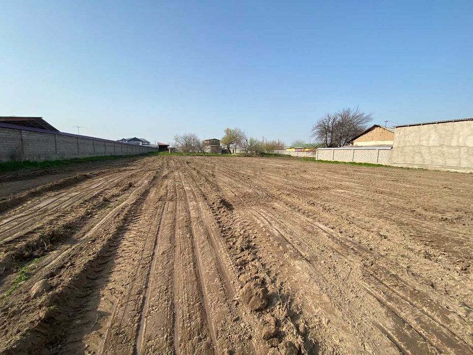 O'rta chirchiqda dacha yer arendaga beriladi. Qorasuv daryosida 70 stx